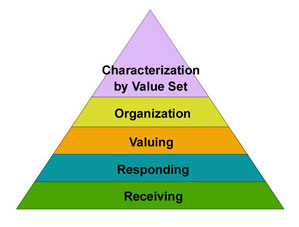Taxonomy Affective